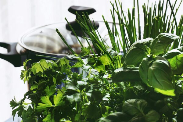 Plantas Comestibles: Descubre Los Sabores Ocultos en Tu Jardín