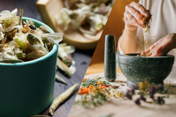 plantas medicinales