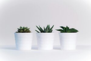 Diseños minimalistas