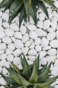 Uso de piedras decorativas