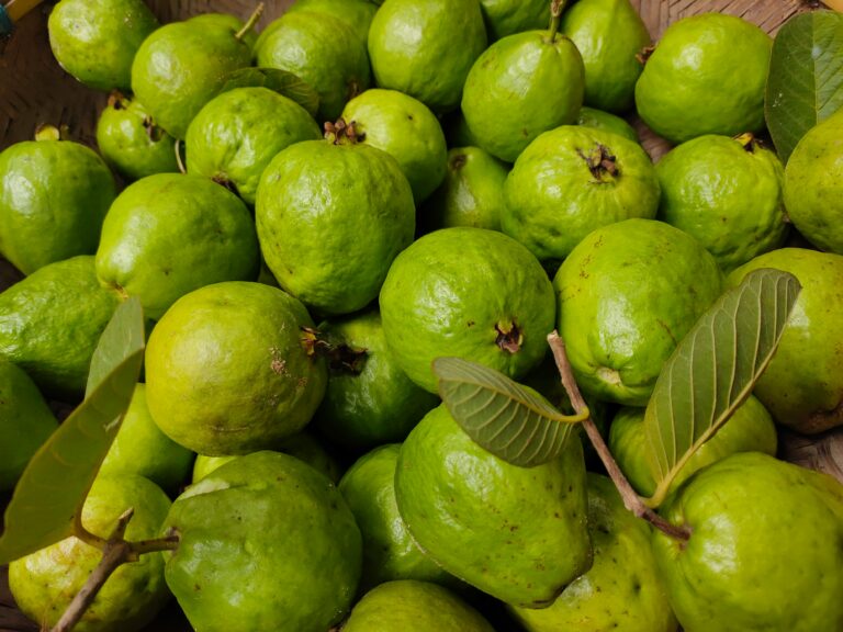 Té de guayaba: descubre sus 5 beneficios.