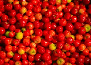 acerola