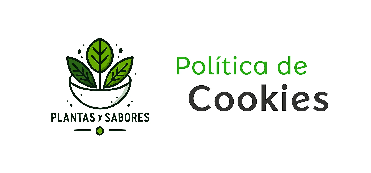 Politica de Cookies